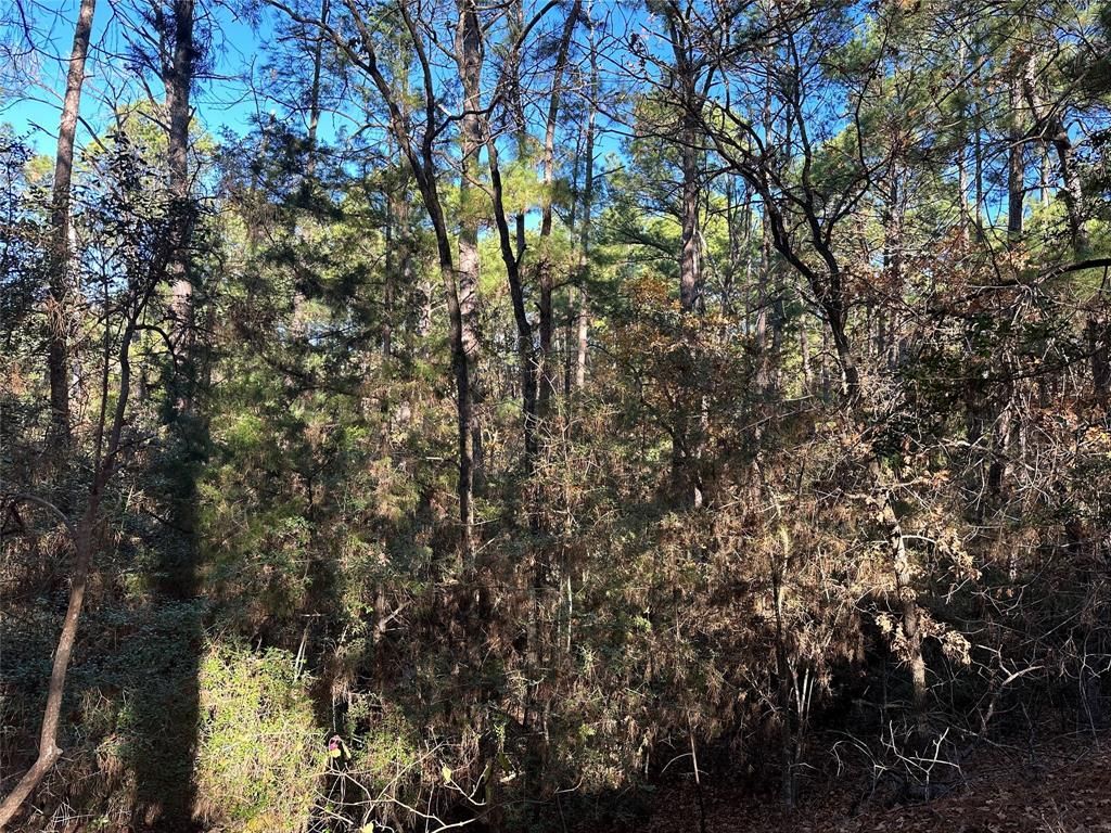 MLS #1074771 image #3