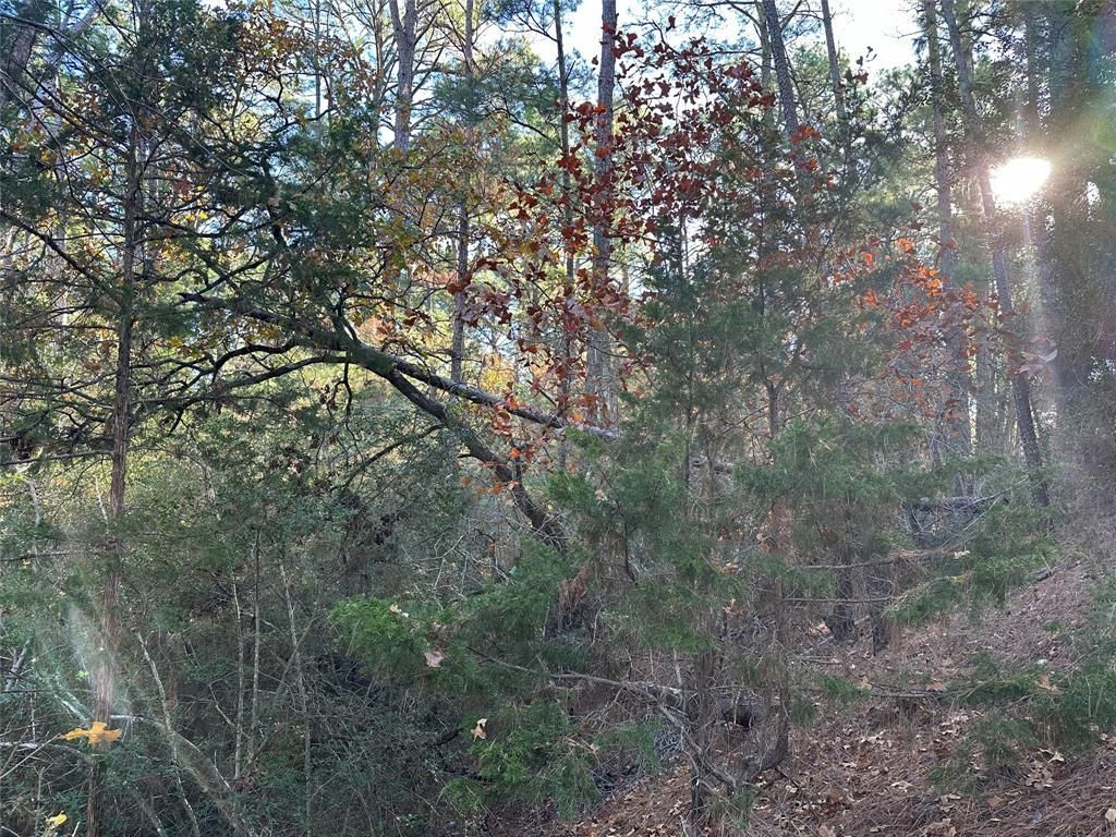 MLS #1074771 image #4