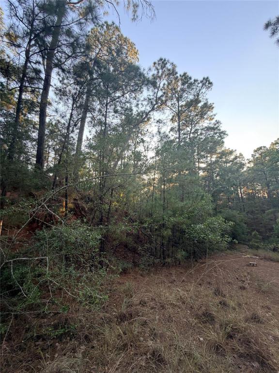 MLS #1174594 image #0