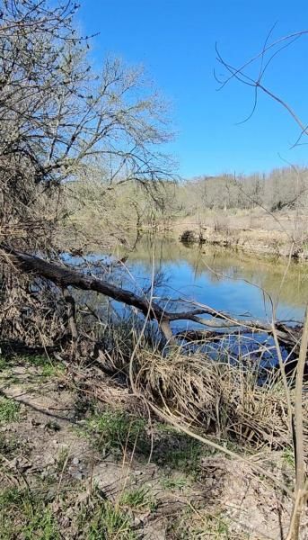 MLS #1207338 image #0