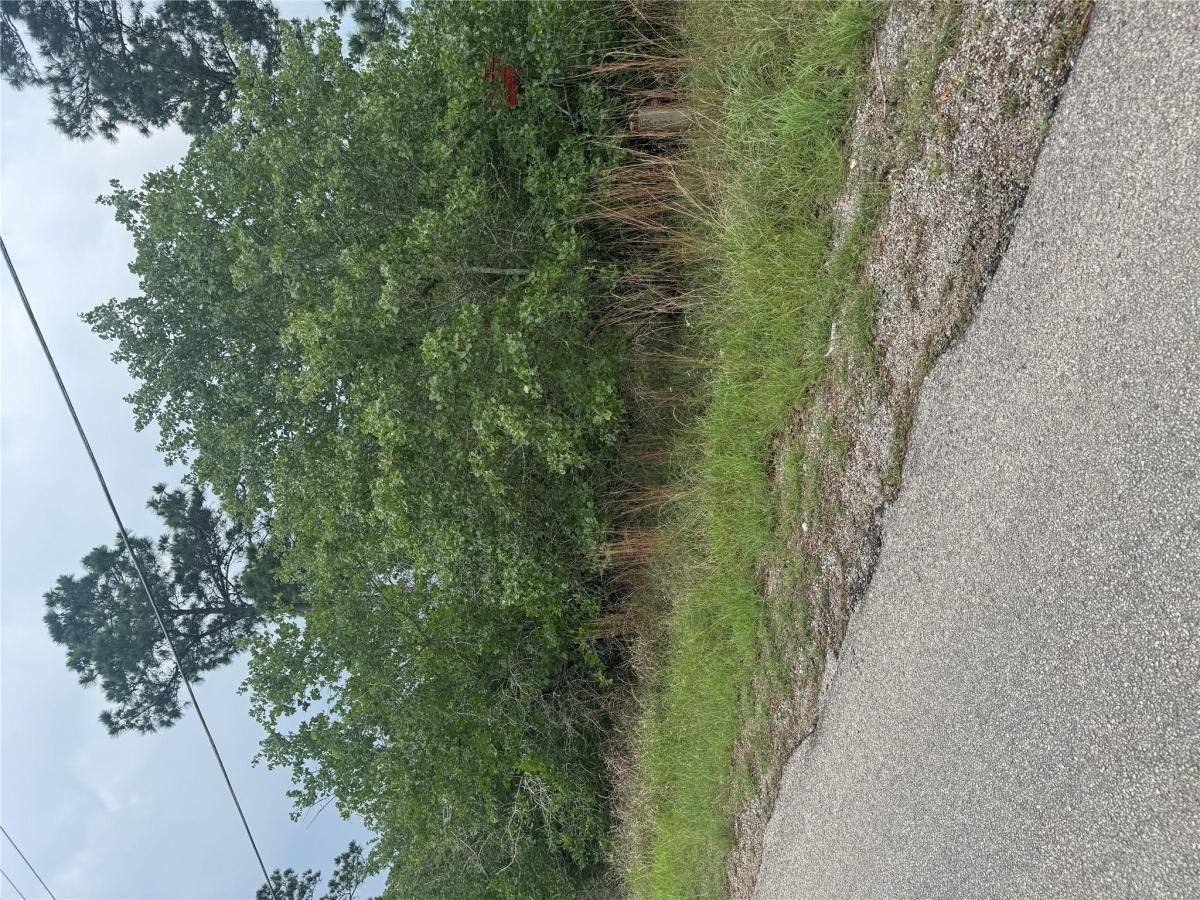 MLS #1294046 image #0