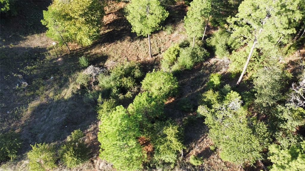 MLS #1567985 image #0