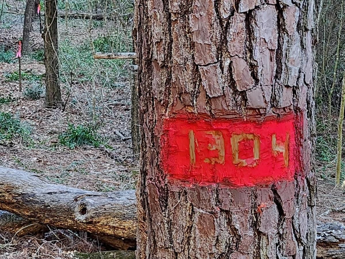 MLS #1738253 image #0