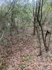 MLS #1761717 image #5