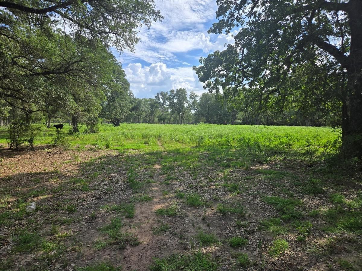 MLS #1877978 image #0