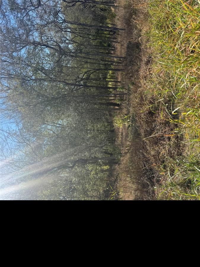 MLS #2404997 image #0