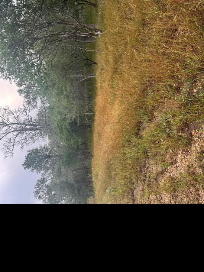 MLS #2563916 image #0