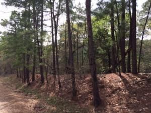 MLS #2608534 image #0