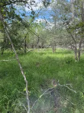 broker reciprocity