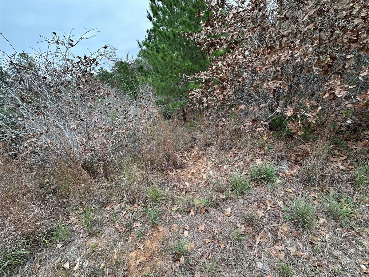 MLS #3160816 image #0