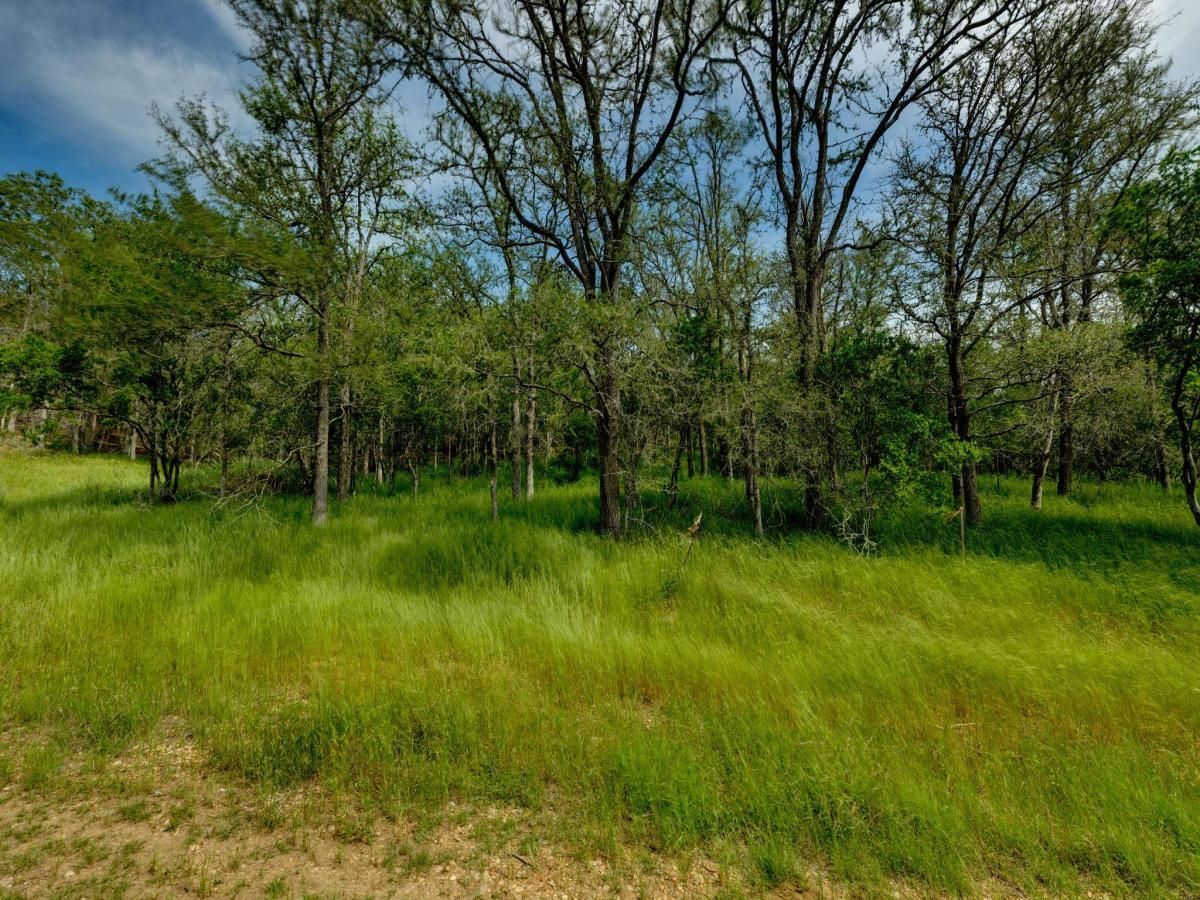 MLS #3222221 image #0