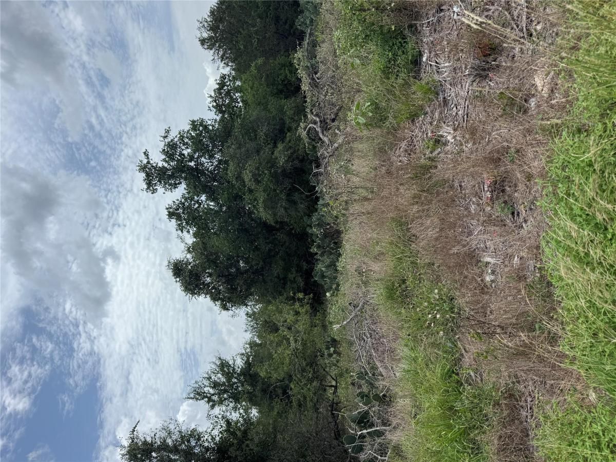 MLS #3318210 image #0