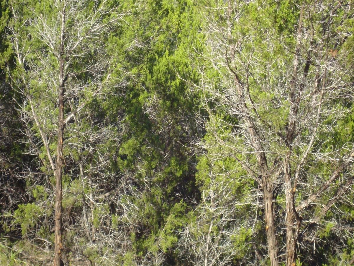 MLS #3571060 image #0