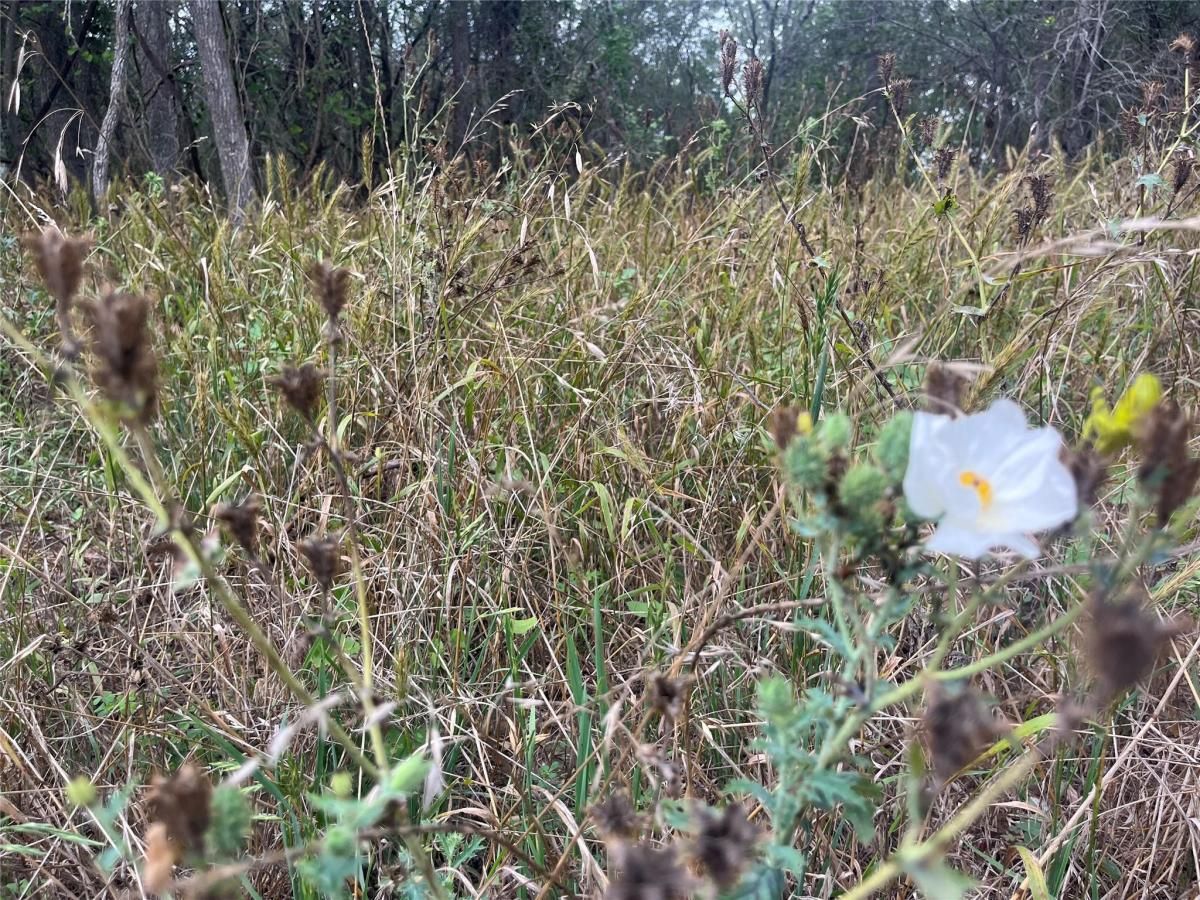 MLS #4337287 image #0