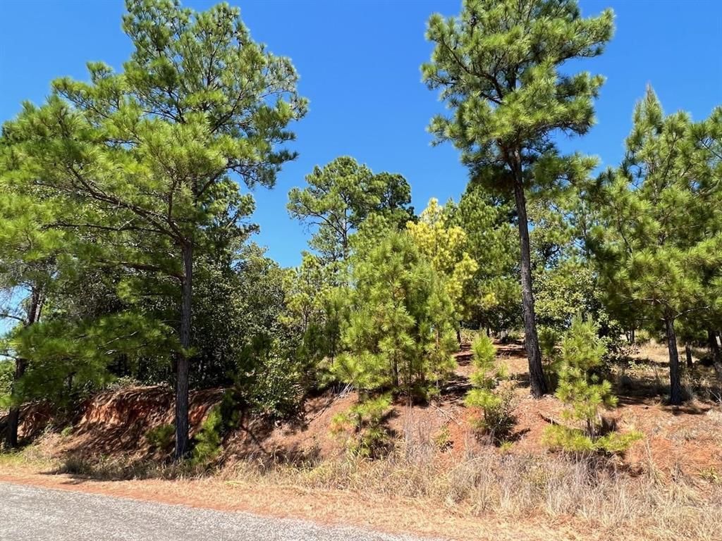 MLS #4357038 image #1