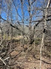 MLS #4360050 image #0