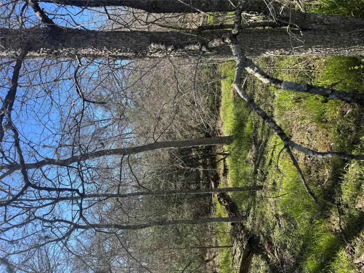 MLS #4398846 image #0