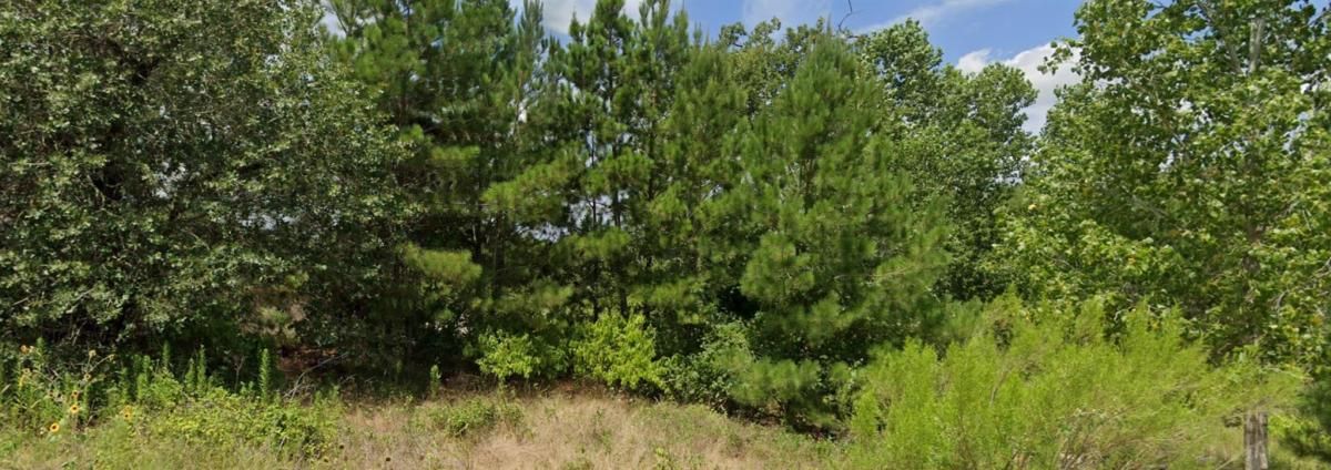 MLS #4408831 image #0