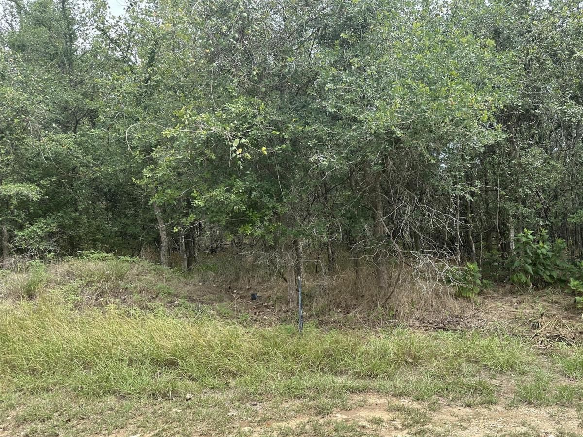 MLS #4597216 image #0