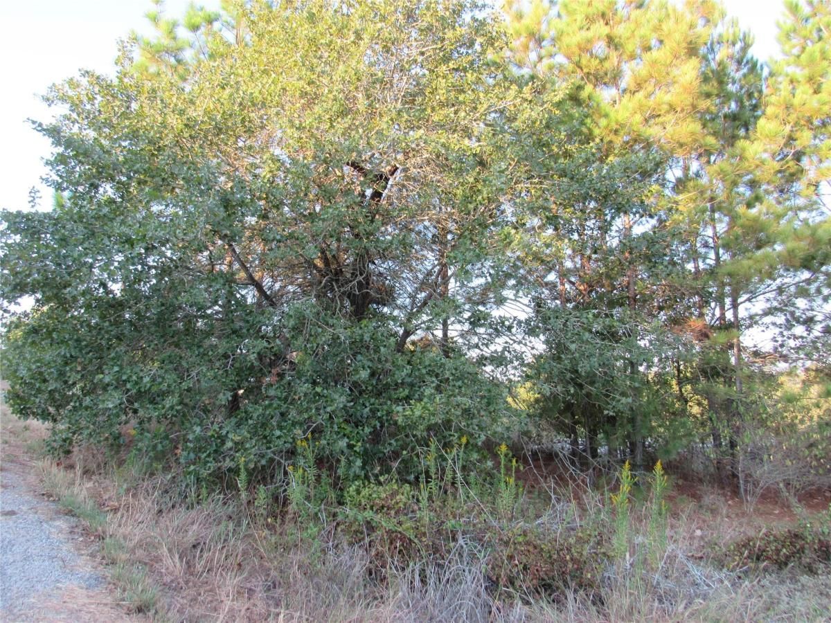 MLS #4918644 image #0