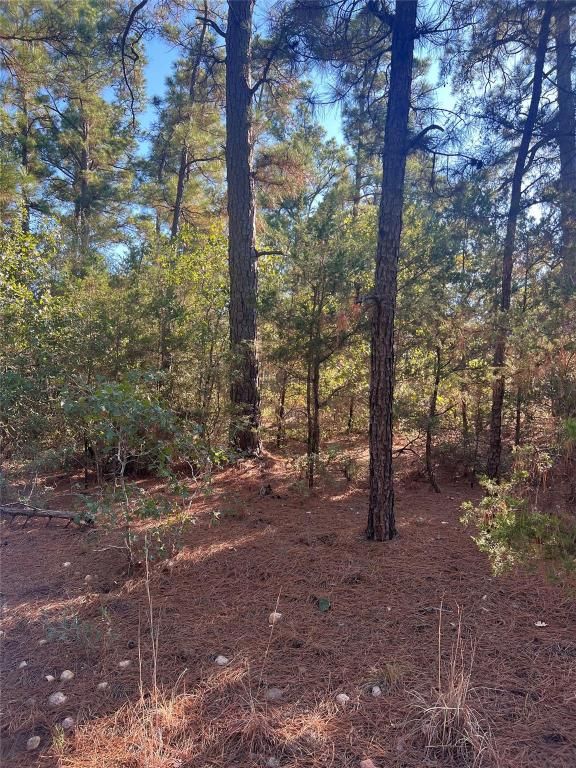 MLS #5028717 image #0