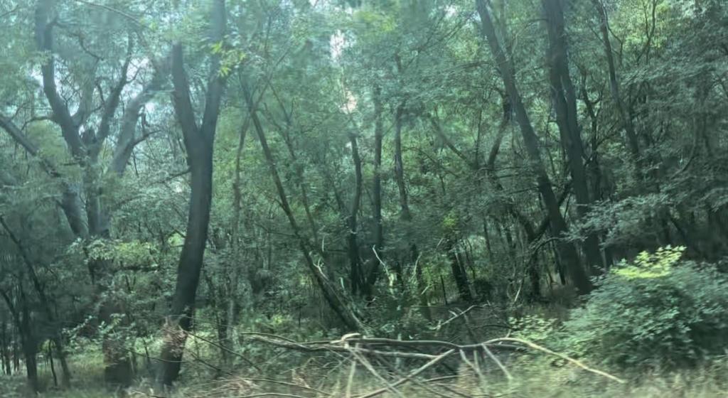 MLS #5037911 image #0