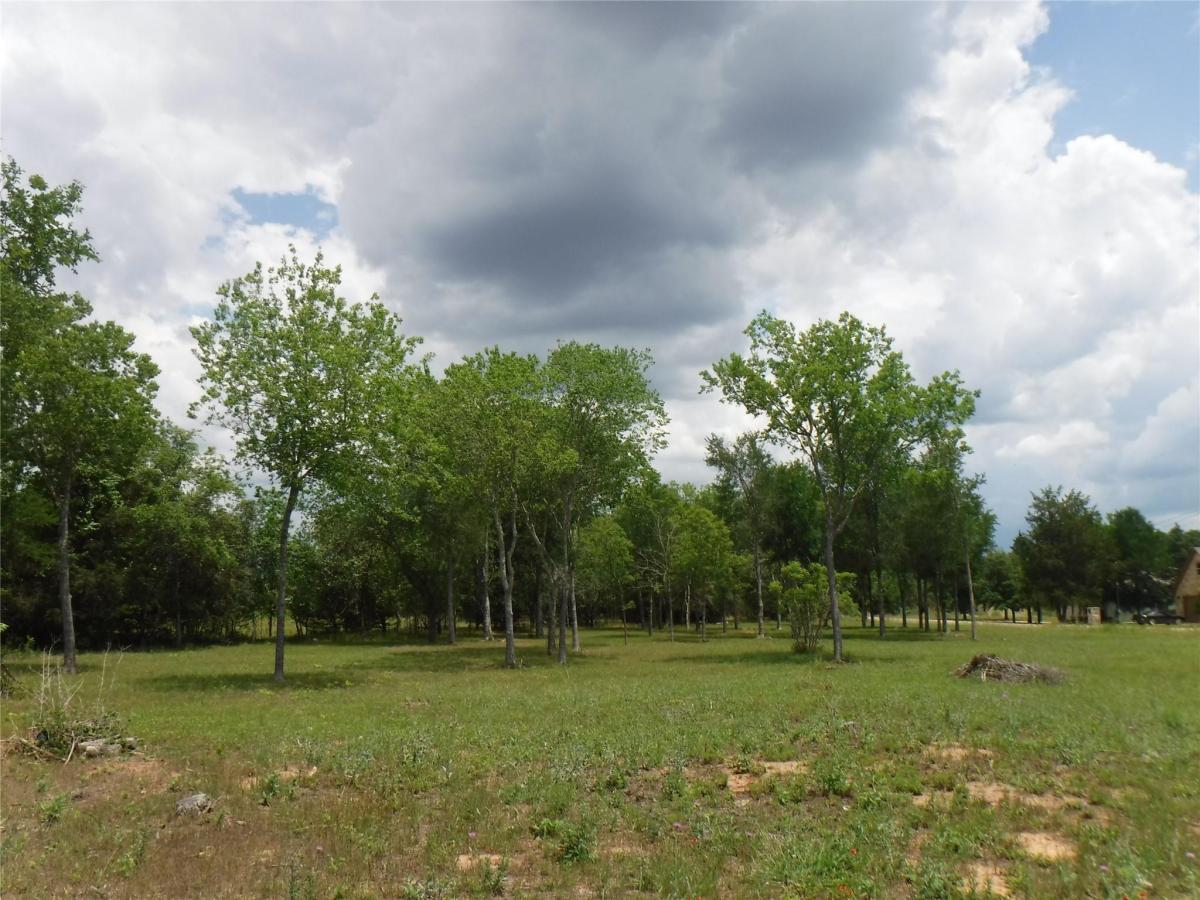 MLS #5210497 image #0