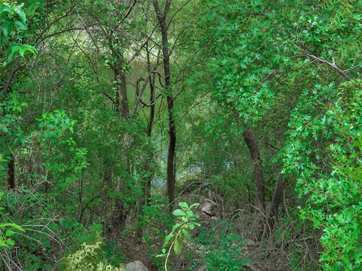 MLS #5790733 image #0