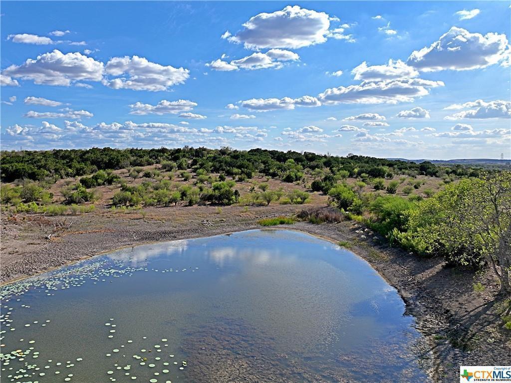 MLS #6217550 image #4