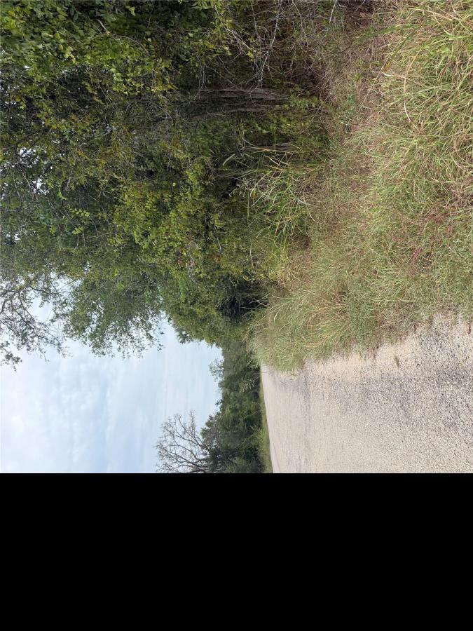 MLS #6260857 image #0