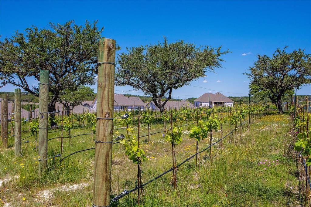 MLS #6321109 image #15