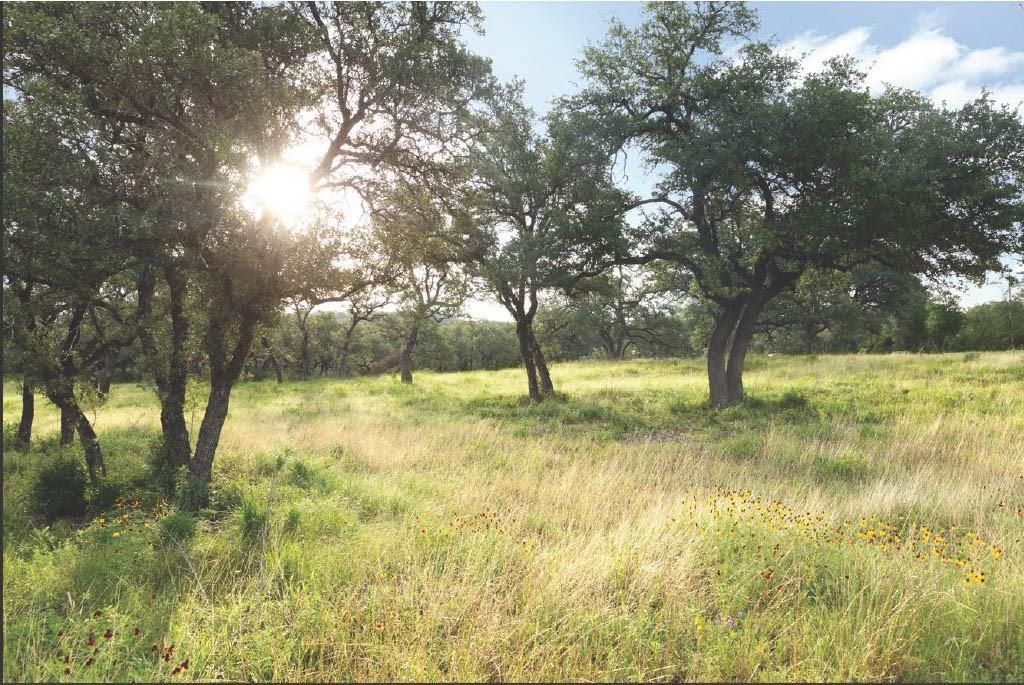 MLS #6321109 image #18