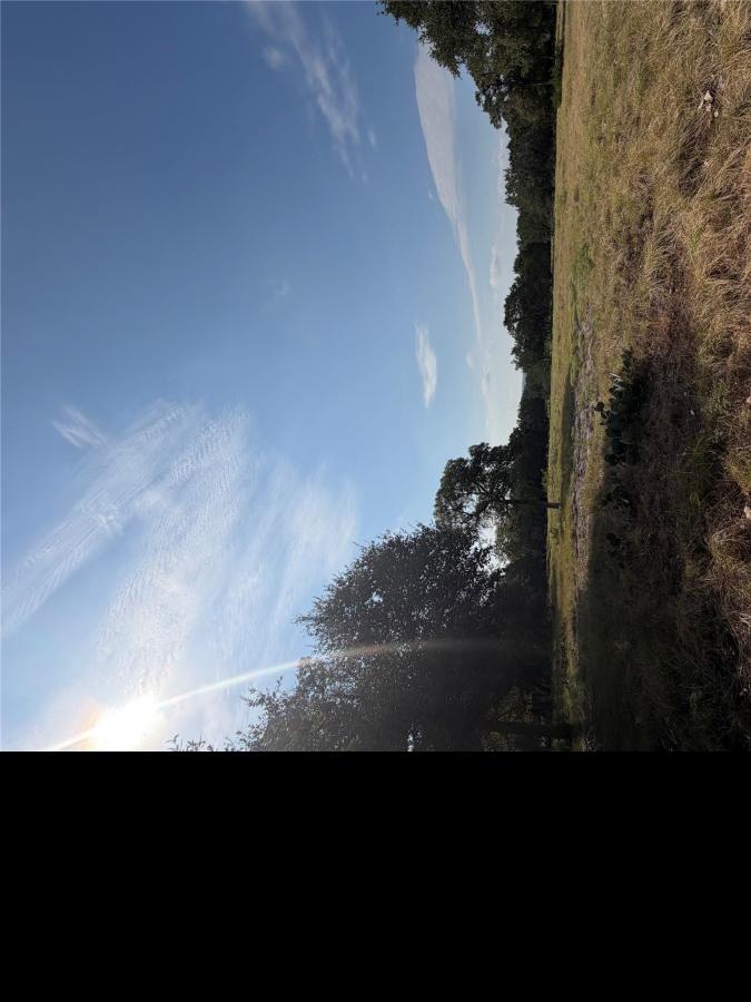 MLS #6722151 image #0