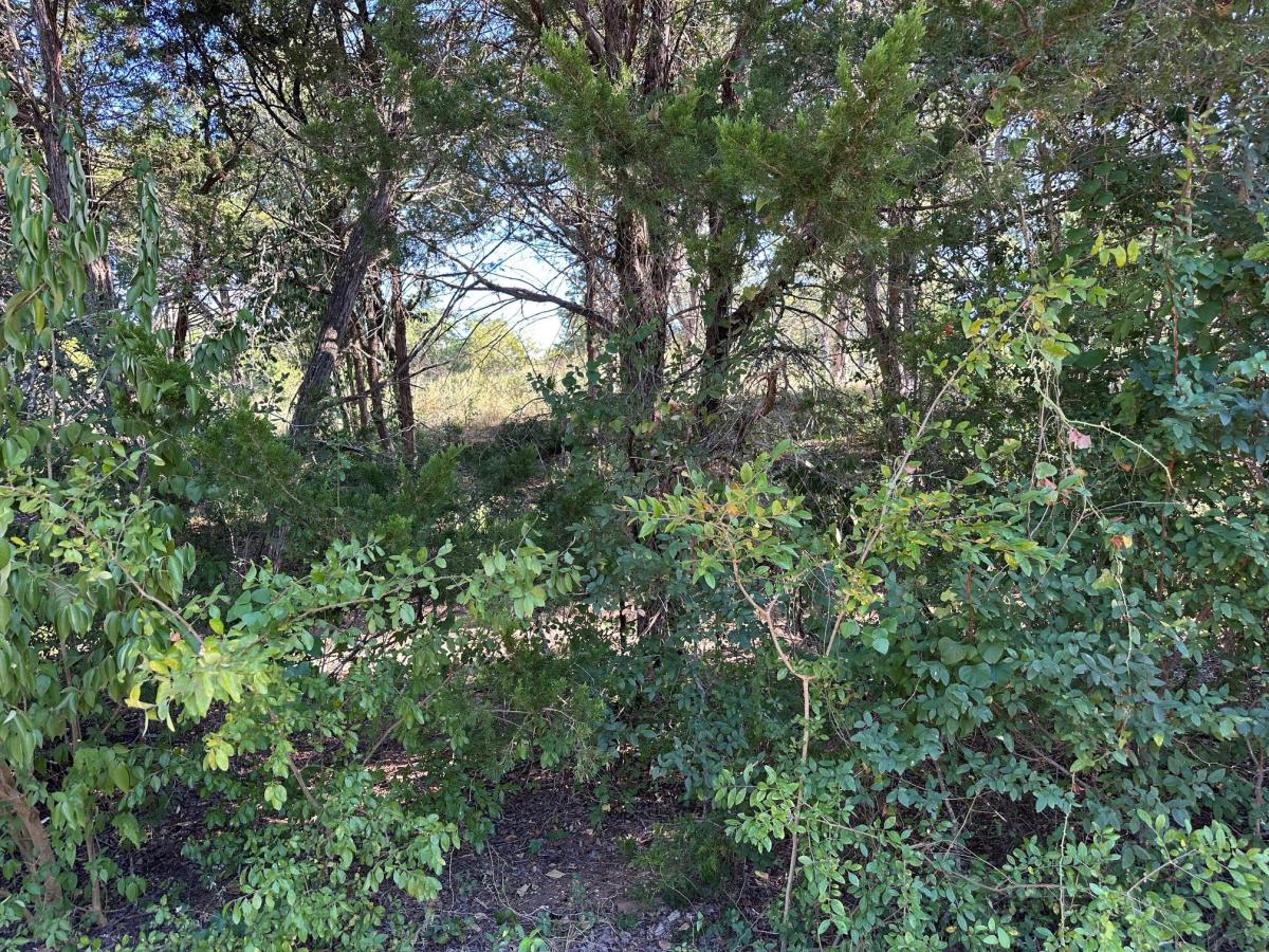 MLS #6765429 image #0