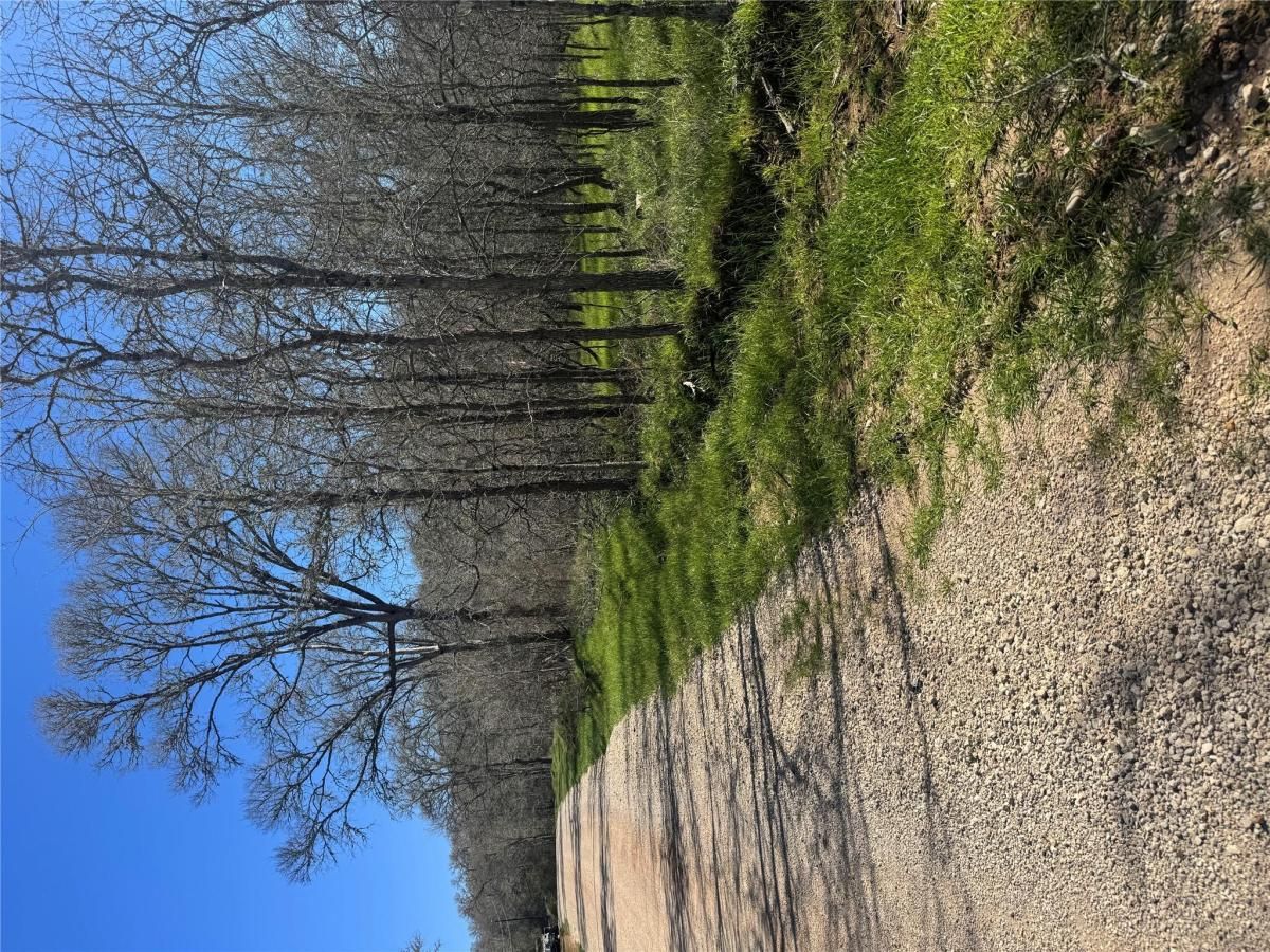 MLS #6782897 image #0