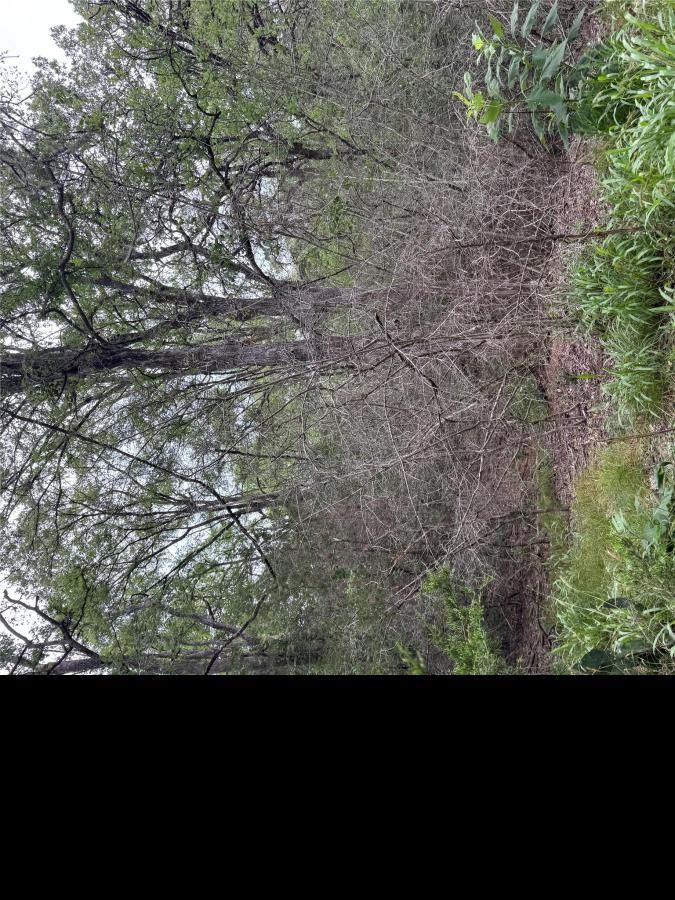 MLS #6870176 image #0