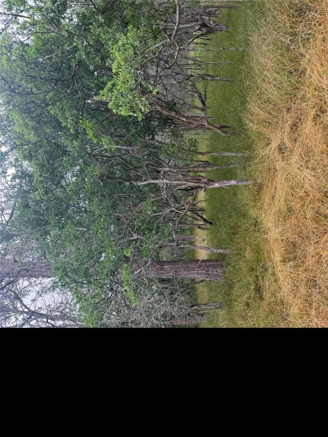 MLS #6895599 image #0