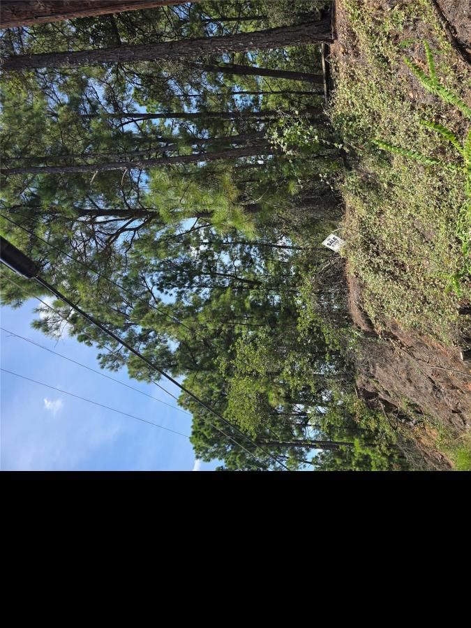 MLS #6954759 image #0