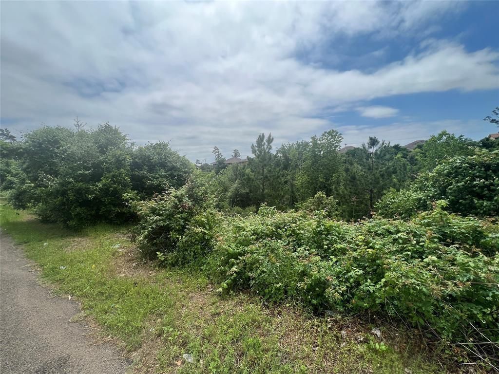 MLS #7078473 image #1