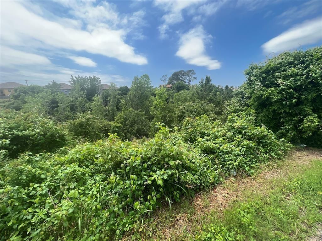 MLS #7078473 image #2