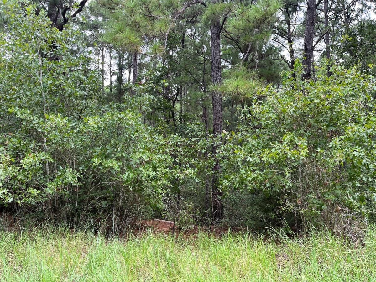 MLS #7108185 image #0