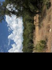 MLS #7110254 image #0