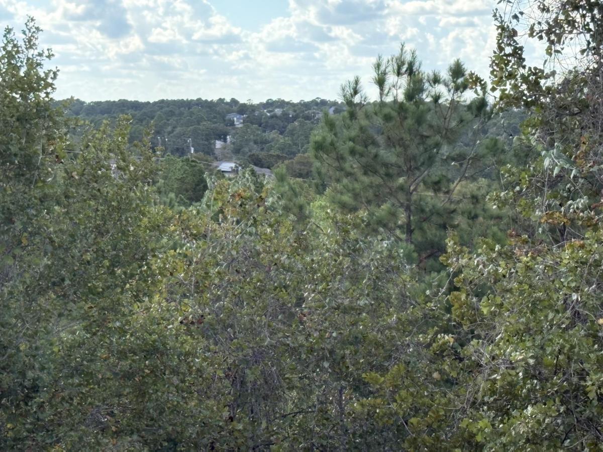 MLS #7148407 image #0