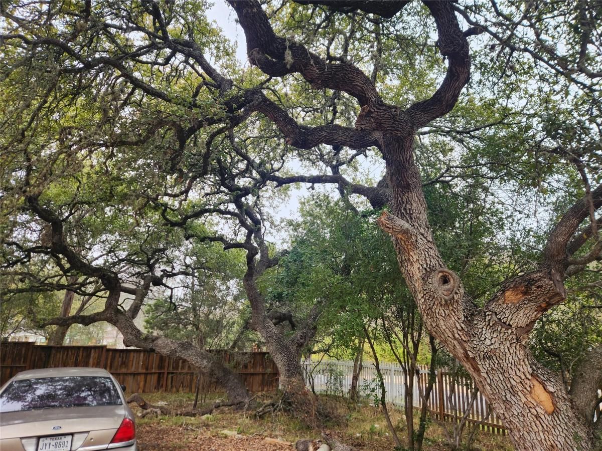 MLS #7150998 image #0