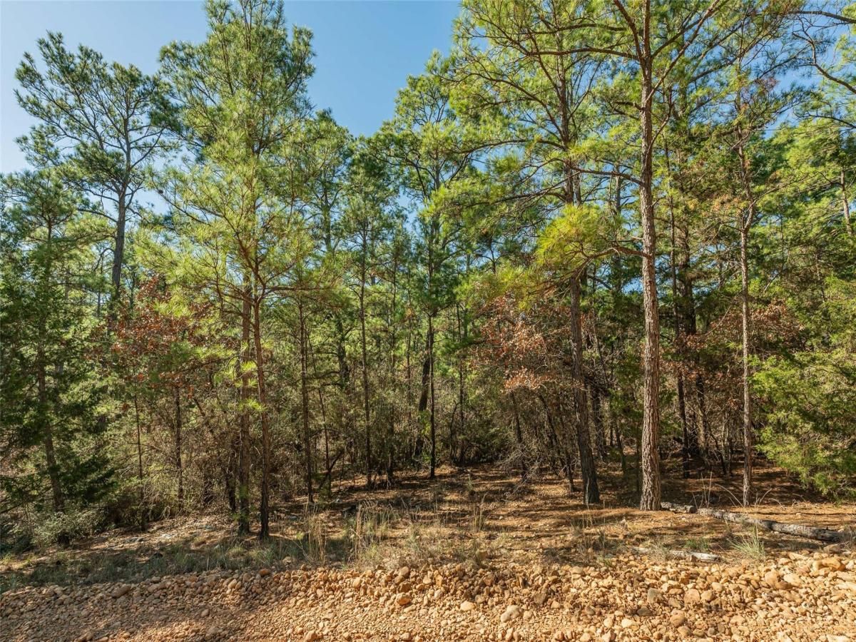 MLS #7352331 image #0