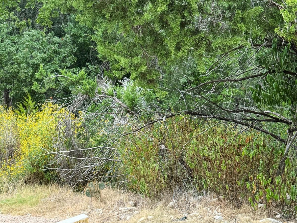 MLS #7359663 image #0