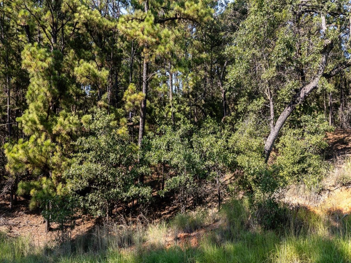 MLS #7532517 image #0