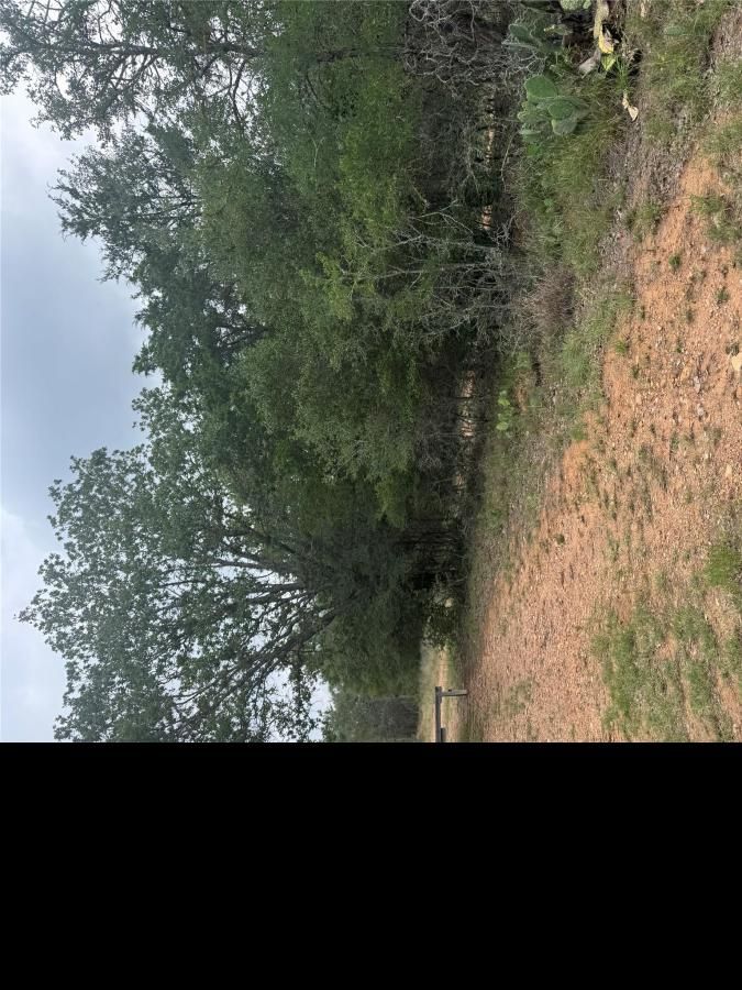 MLS #7655864 image #0