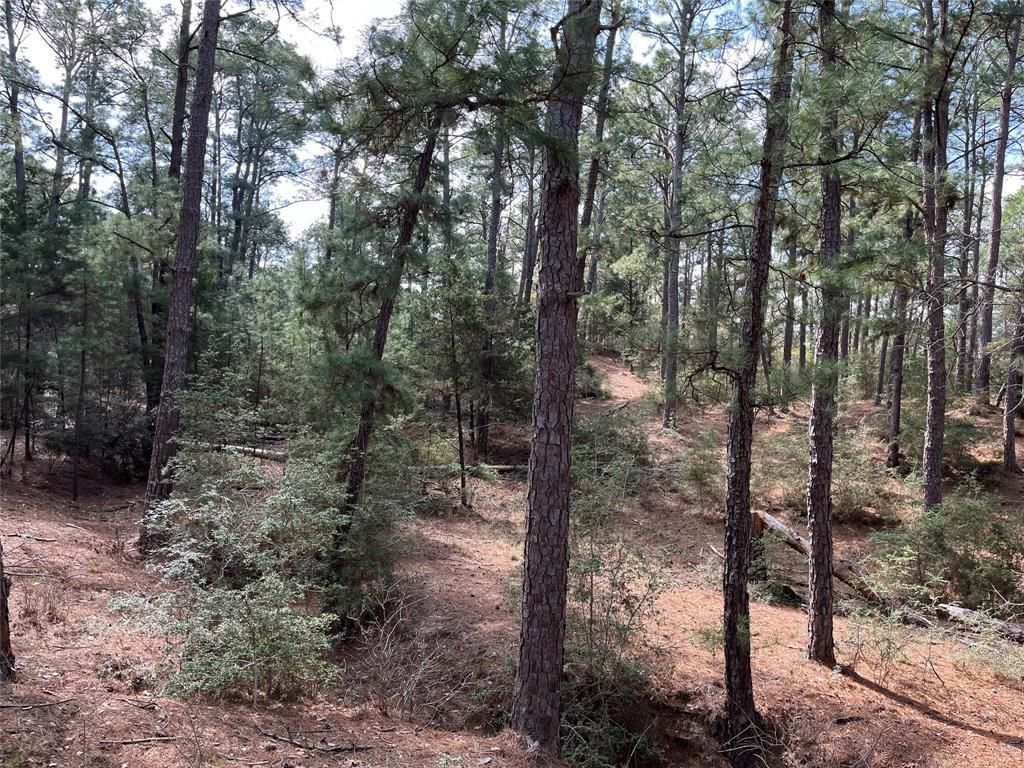 MLS #7735171 image #1