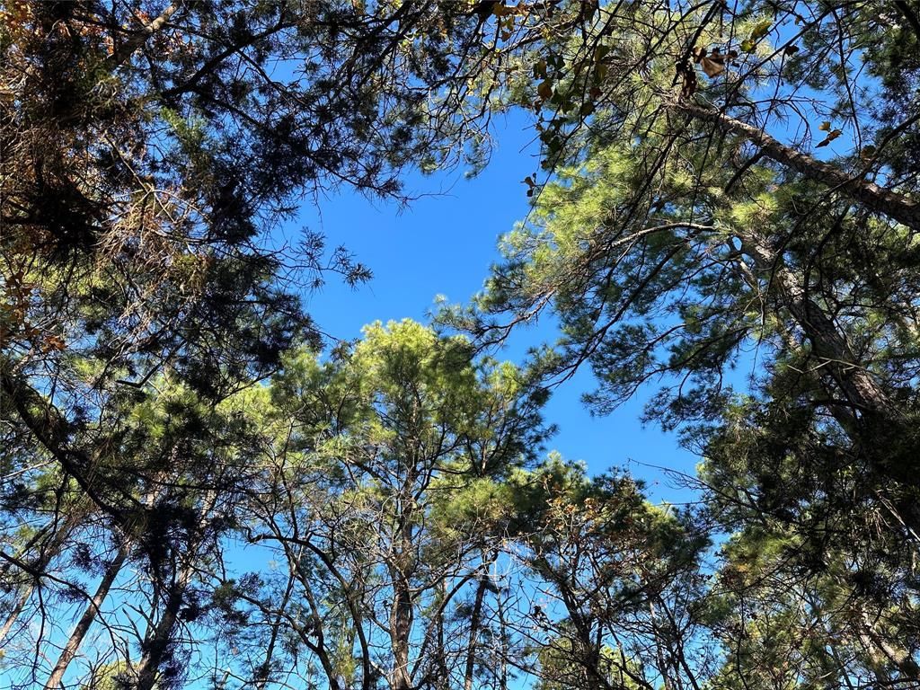 MLS #7745950 image #1